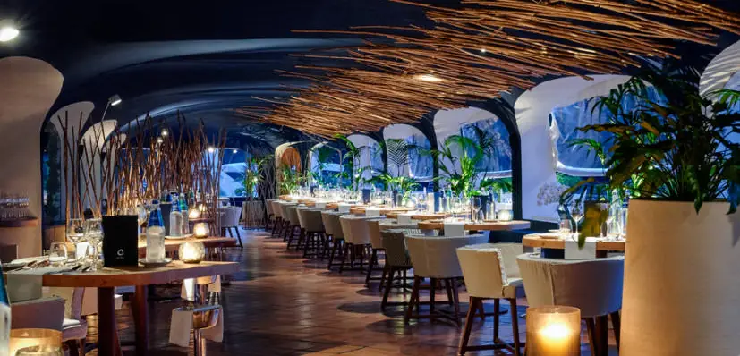 Comedor de restaurante con bóvedas, techo de ramas en forma de ola, mesas con velas y vegetación junto a las ventanas
