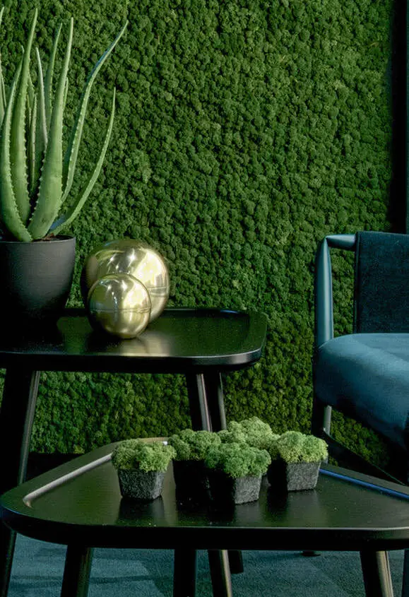 Pared revestida de musgo verde con mesas auxiliares negras, una planta y esferas doradas