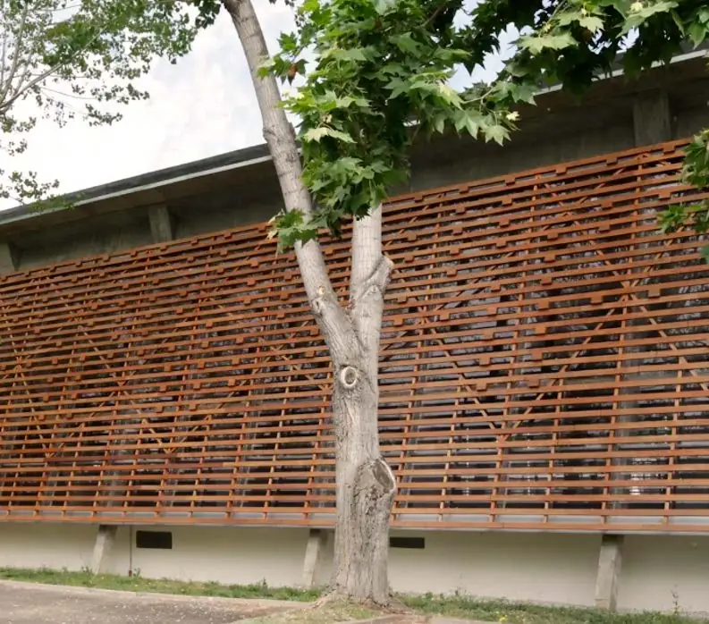 Fachada de lamas de madera horizontales tras el tronco de un árbol de hoja caduca