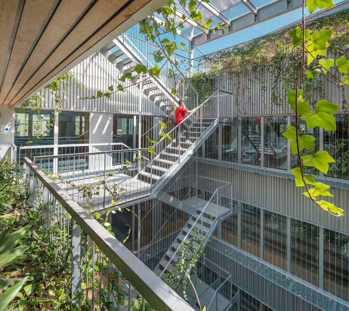 Patio interior con escaleras metálicas y vegetación trepadora en la sede de Médicos Sin Fronteras
