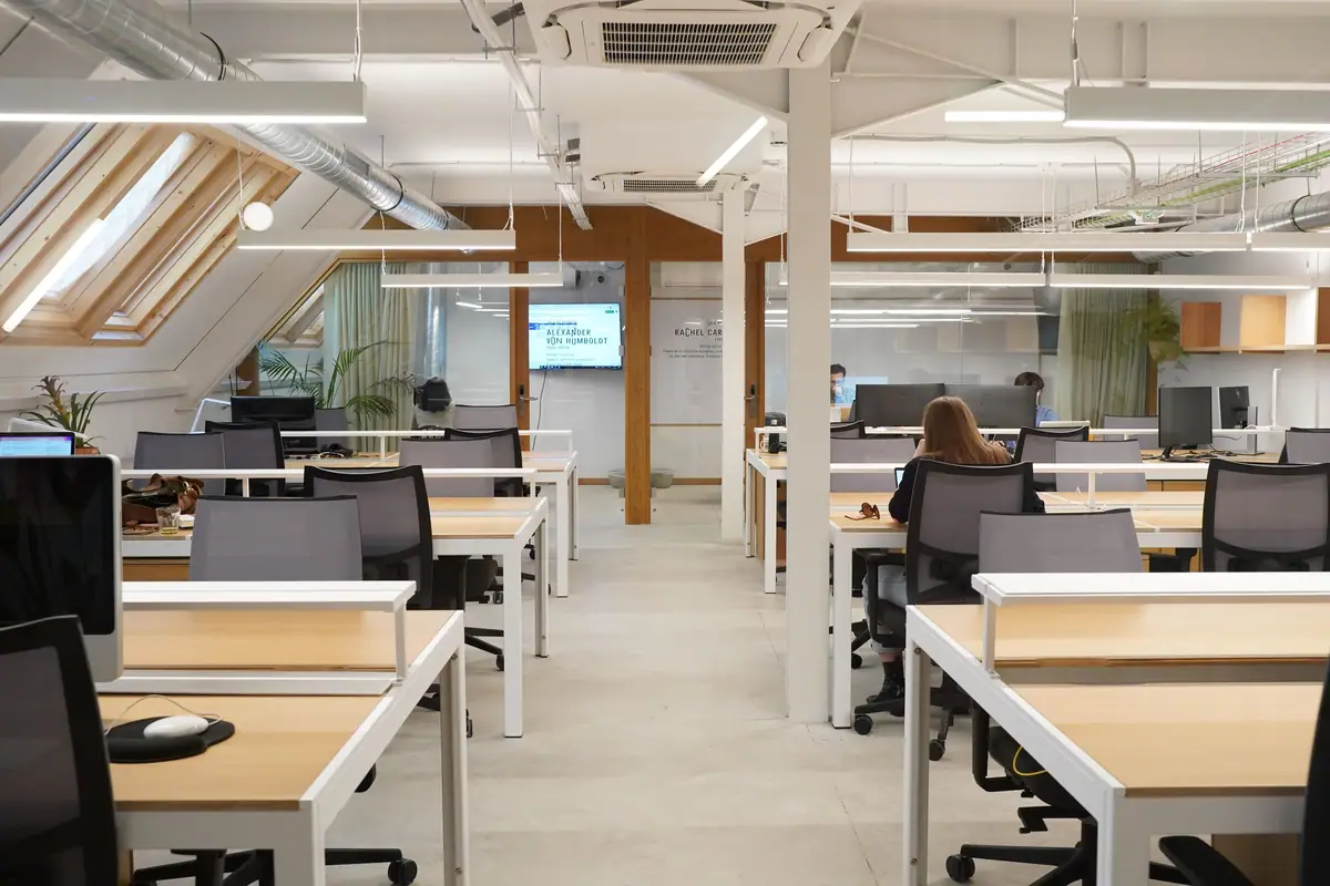 Vista general de la planta de coworking de Triple, con mesas compartidas, pilares blancos y salas acristaladas al fondo