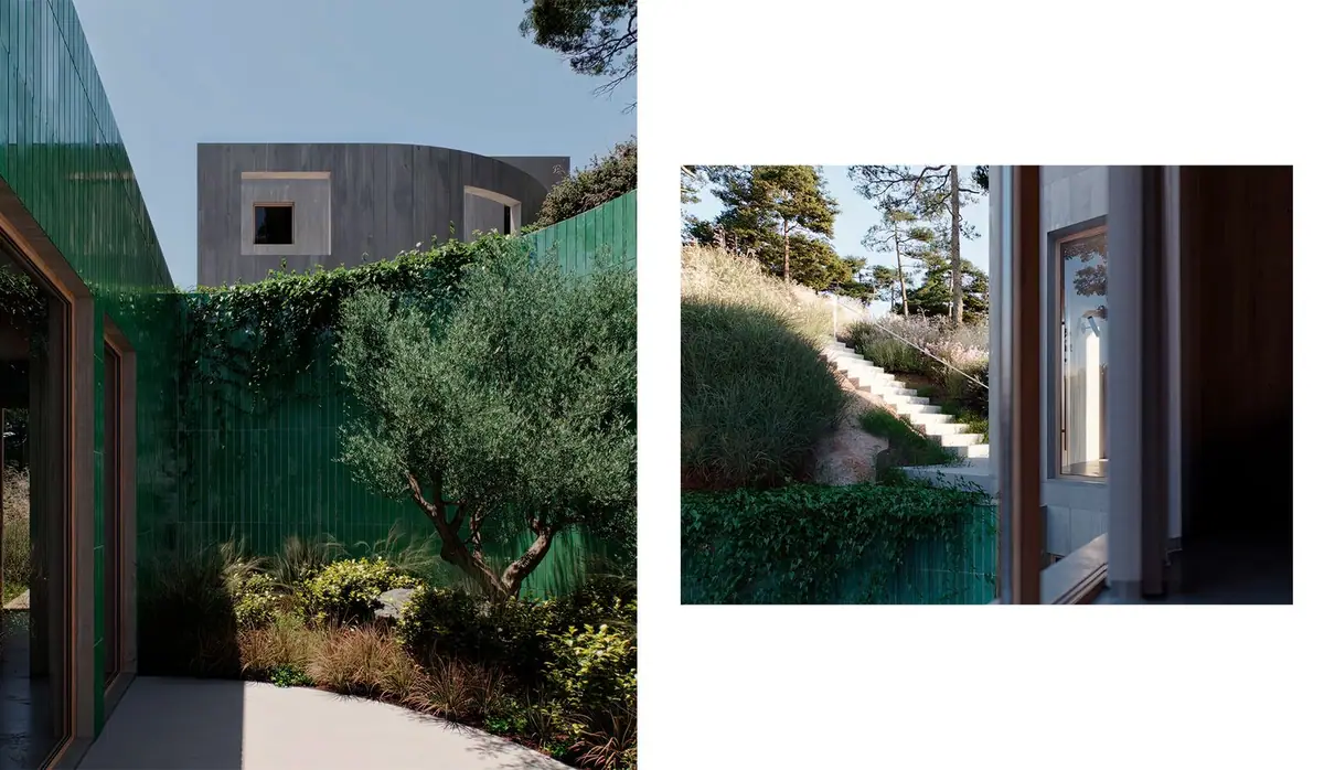 Patio con olivo y plantación mediterránea junto a un muro verde, y escalera exterior entre vegetación.