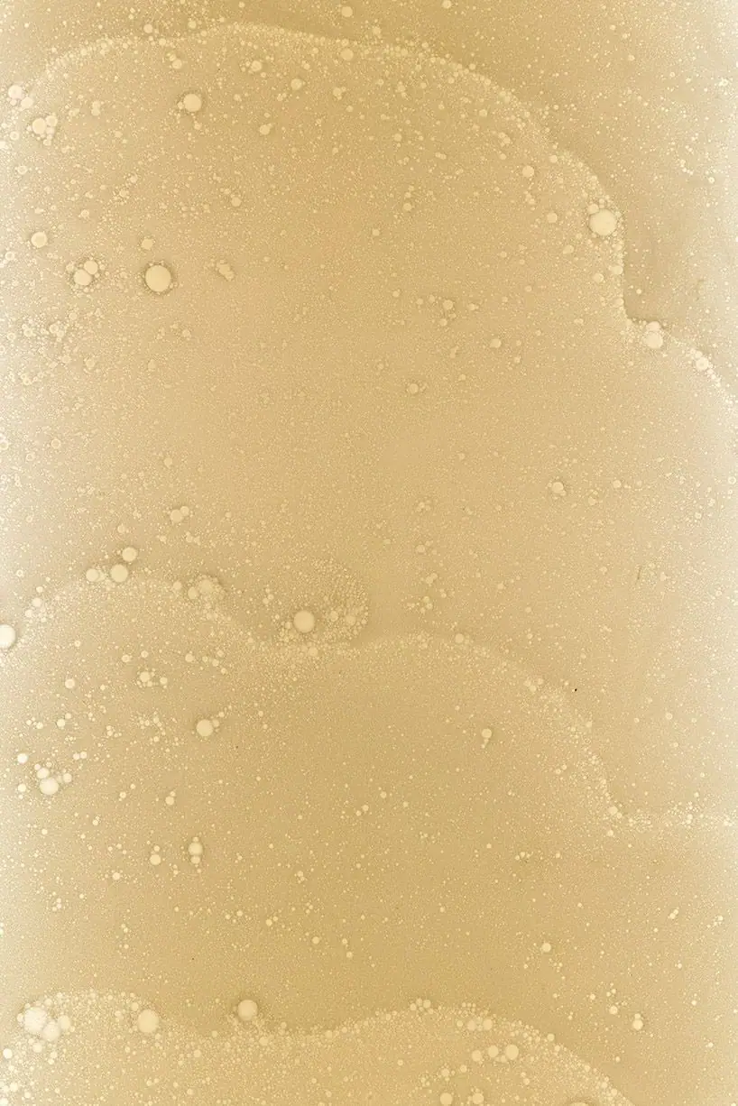 Superficie de espuma color crema con burbujas y relieves orgánicos