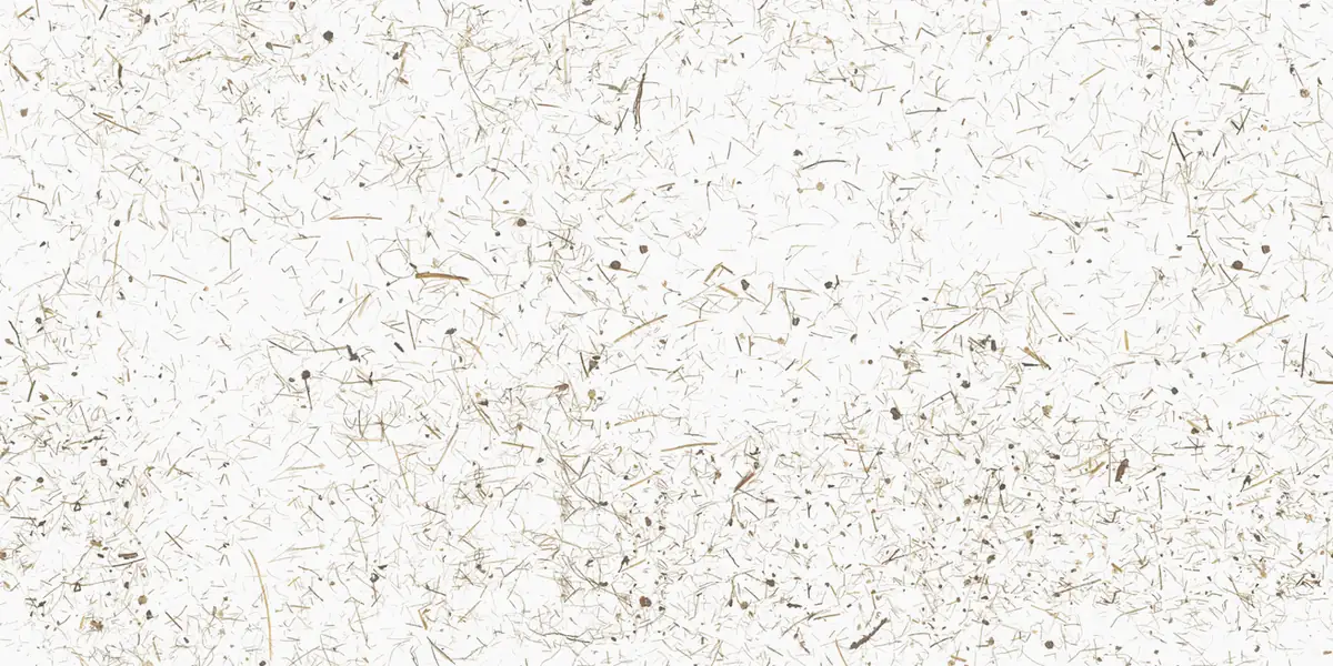 Superficie blanca con fibras de heno finas y dispersas