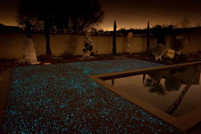 Sendero curvo de jardín que brilla de noche junto a una vivienda