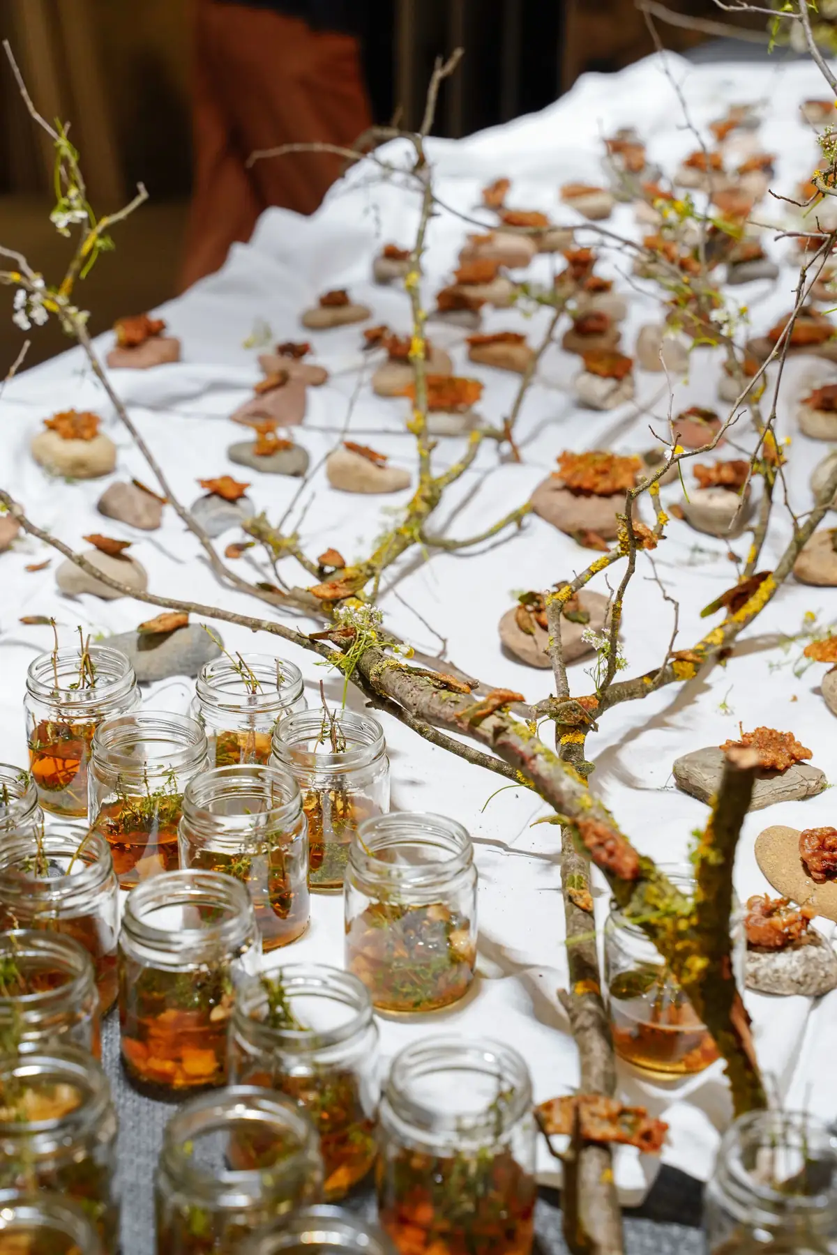 Mesa del Eco-Picnic con tarros de cristal, ramas secas y bocados sobre piedras