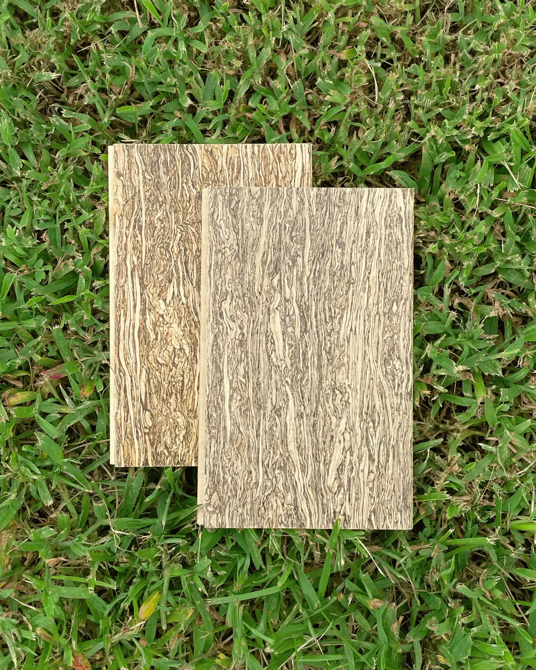 Dos muestras de HempWood con veta fibrosa apoyadas sobre césped