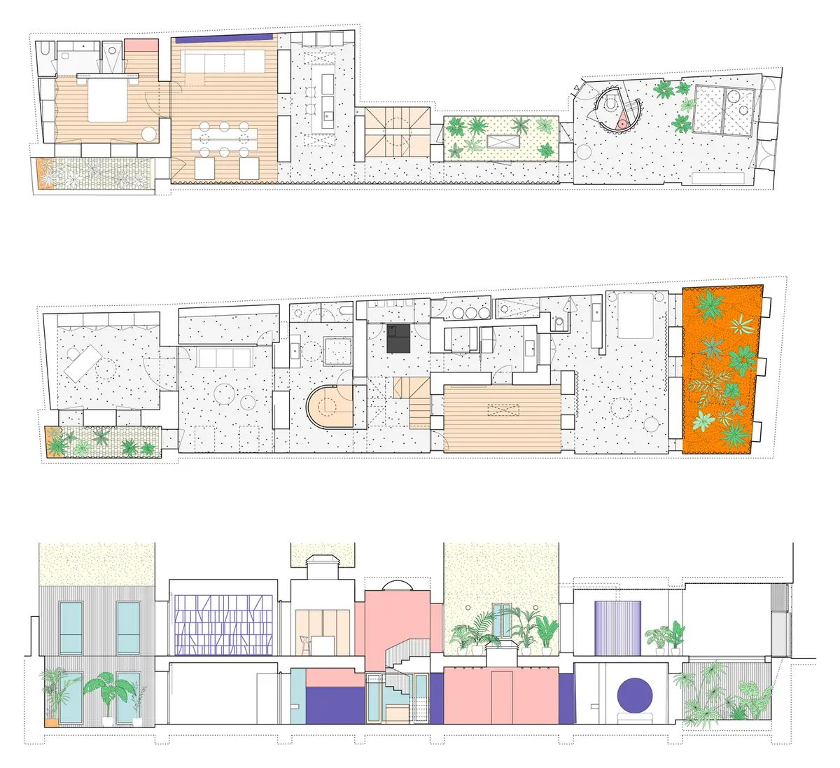 Plantas de los dos niveles y sección longitudinal de la vivienda, coloreadas, con patios ajardinados