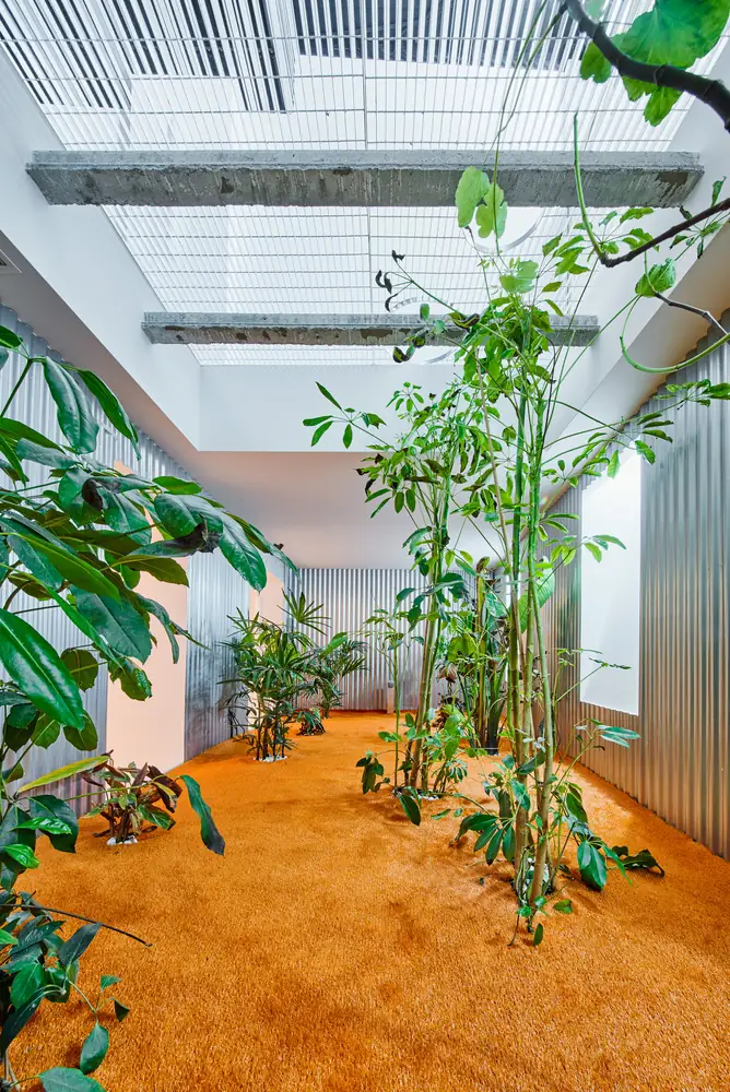Patio interior con césped naranja, plantas tropicales y paredes de chapa ondulada bajo una cubierta de rejilla