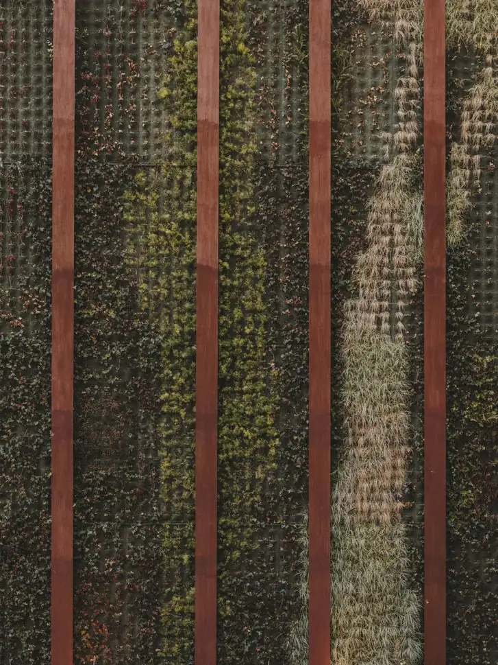 Jardín vertical con plantas trepadoras entre montantes metálicos rojizos