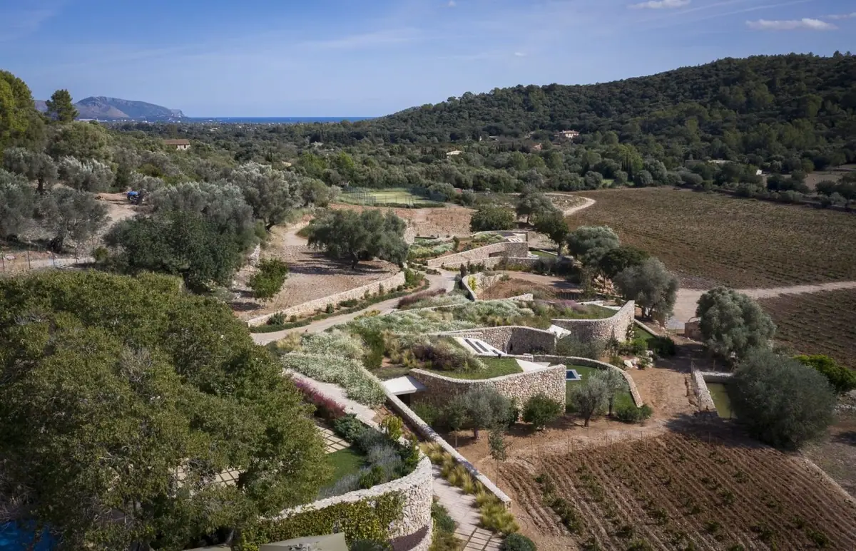 Vista aérea de las villas escalonadas entre bancales, olivos y viñedos