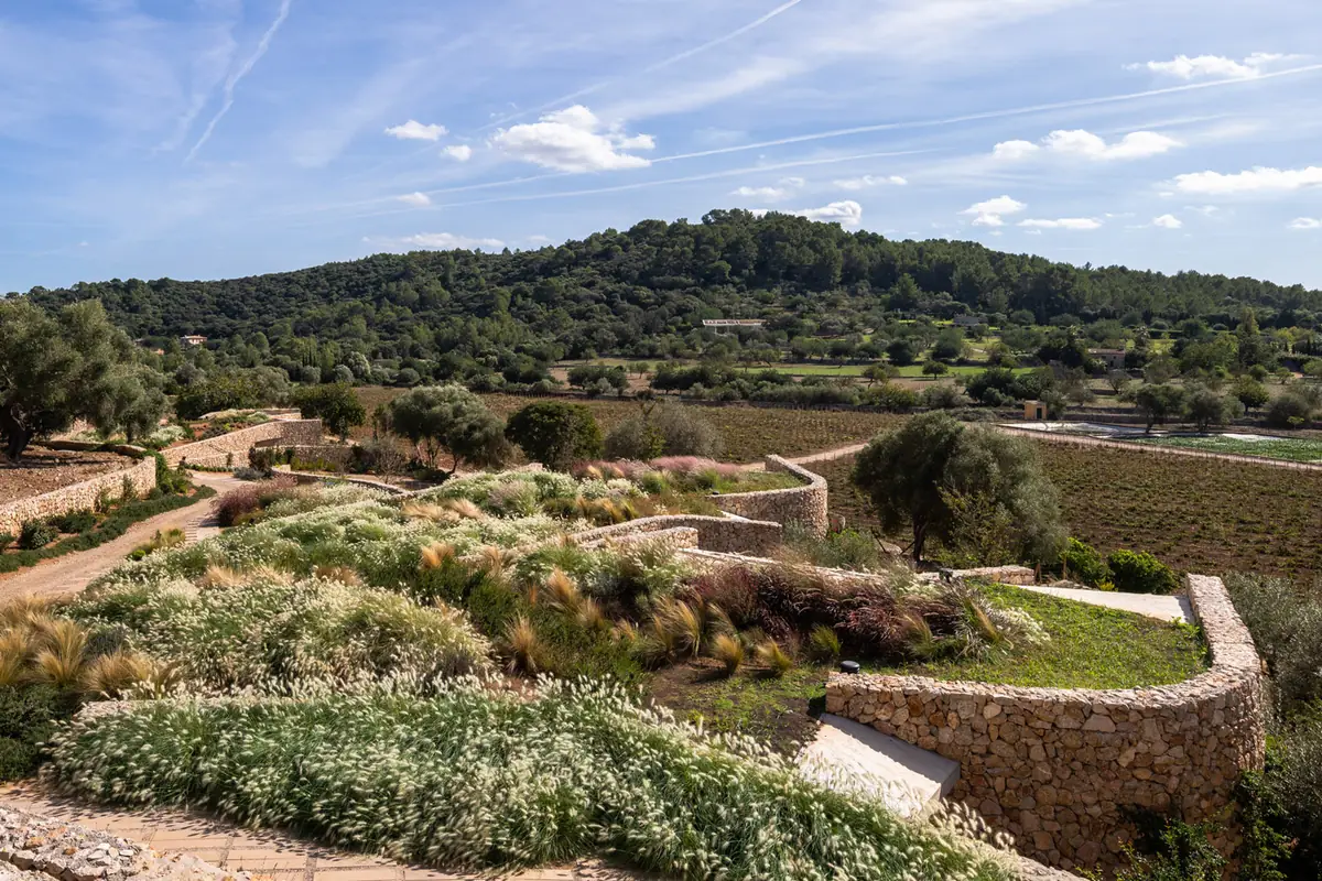 Cubiertas ajardinadas de las villas con muros curvos de piedra y viñedos al fondo