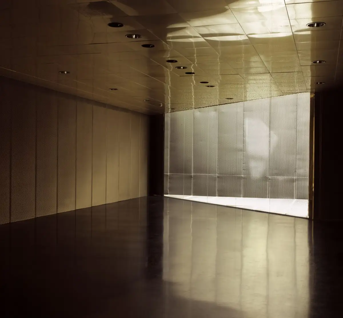 Sala interior con techo metálico dorado, paramentos de malla y pavimento brillante