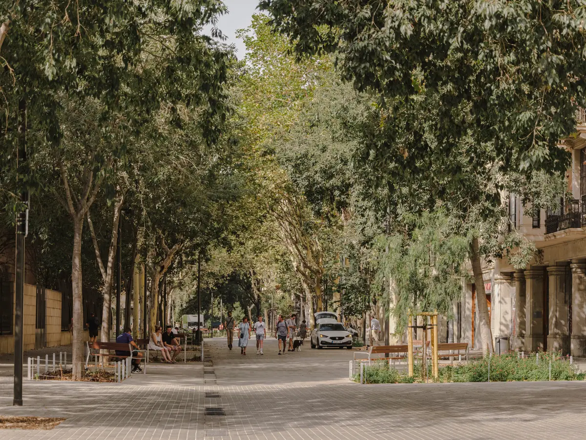 Calle Consell de Cent pacificada, con pavimento continuo, árboles, parterres y bancos de madera